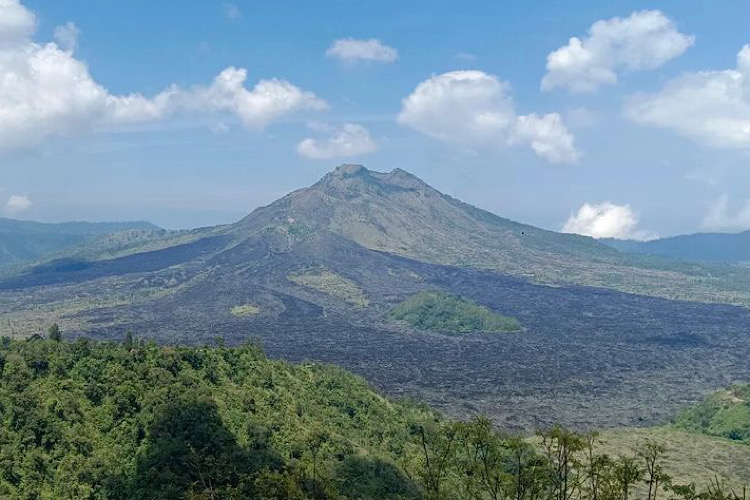 Kintamani Day Tour : Explore the Volcanic Landscapes